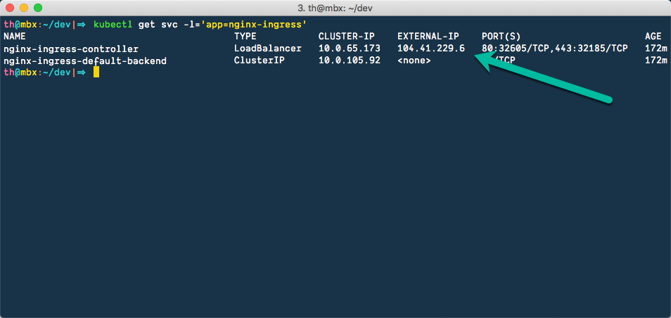 NGINX Ingress custom IP